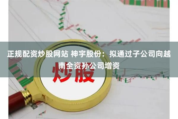 正规配资炒股网站 神宇股份：拟通过子公司向越南全资孙公司增资