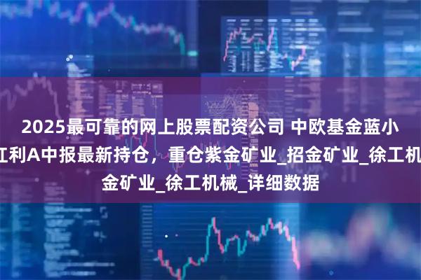 2025最可靠的网上股票配资公司 中欧基金蓝小康旗下中欧红利A中报最新持仓，重仓紫金矿业_招金矿业_徐工机械_详细数据
