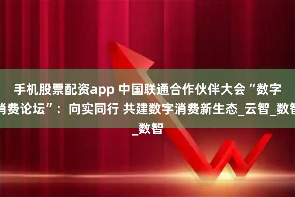 手机股票配资app 中国联通合作伙伴大会“数字消费论坛”：向实同行 共建数字消费新生态_云智_数智